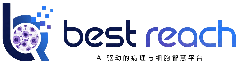 BestReach